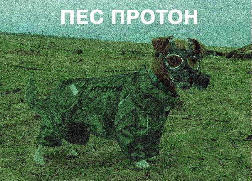 Even the #Ukrainian dogs are now preparing for #Russia to blow up the #ZaporizhzhyaNPP.

#TwitterLimits #RussiaIsCollapsing 
 #RussiaUkraineWar #Russland #Russian #Prigozhin #WagnerGroup #Ukraine #Ukraine #UkraineFrontLines #F16ForUkraine #Putin #RussiansGOHOME #UkraineRussiaWar