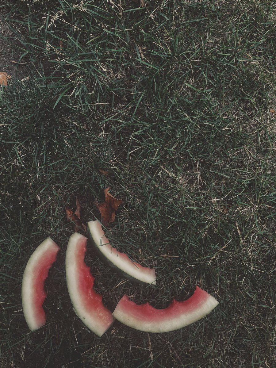 Mallory (@mallory) on Twitter photo 