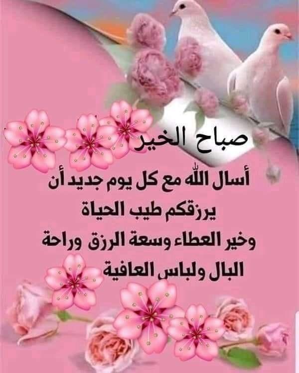 ابوبكر مترجم (@coolabuu271) on Twitter photo 