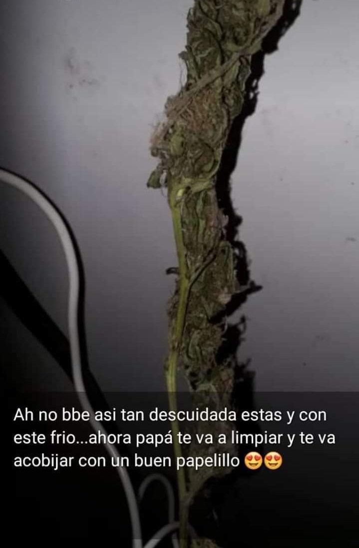 LuisVinalay15's tweet photo. Quien era mandé mensajes.. https://t.co/7sofUWvqJm