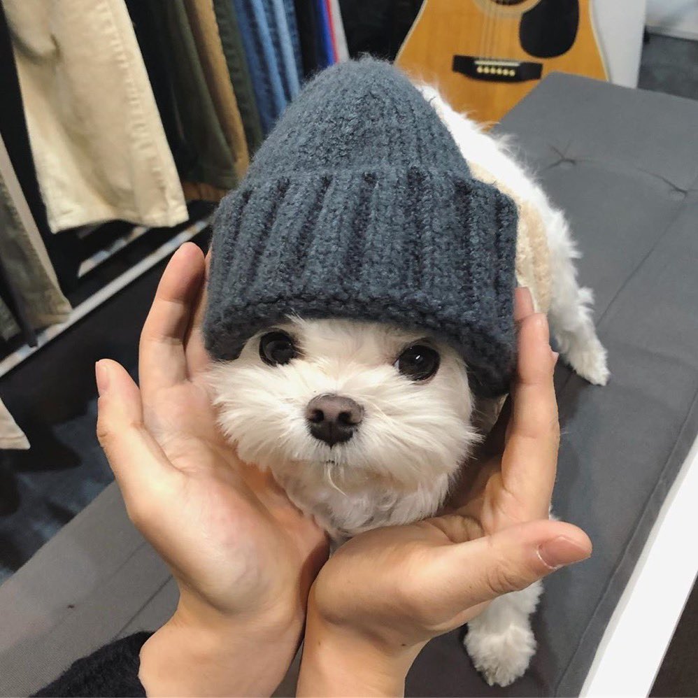 derek guy tweet media