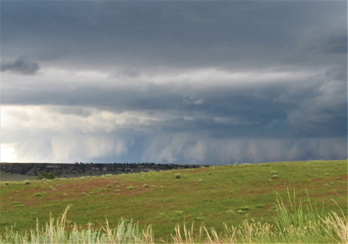 wyohistoryguy's tweet image. Big storm south of town this afternoon - we caught the edge of it and got a nice rain. #Wyoming #stormcloud #landscapephotography