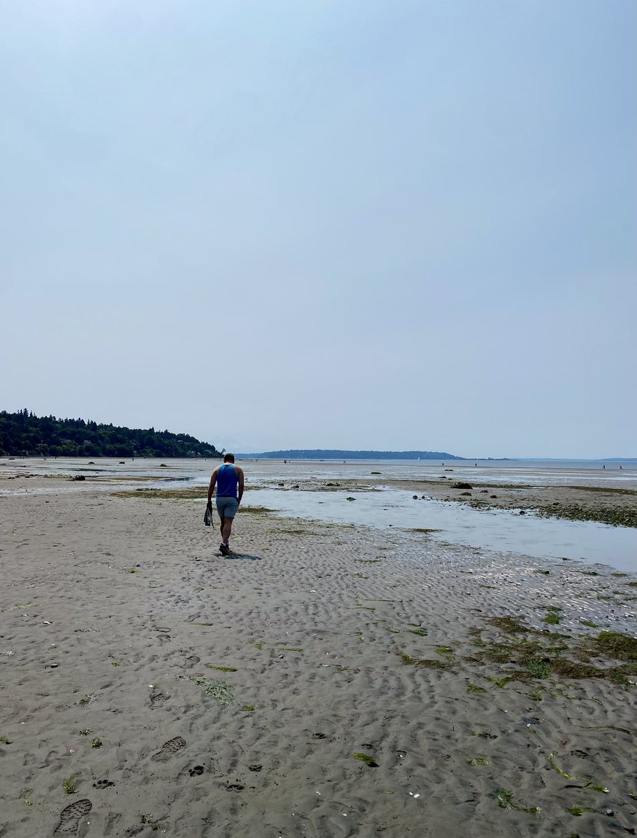 *Nathan Yaffe Maryland voice* crabs crabs crabs