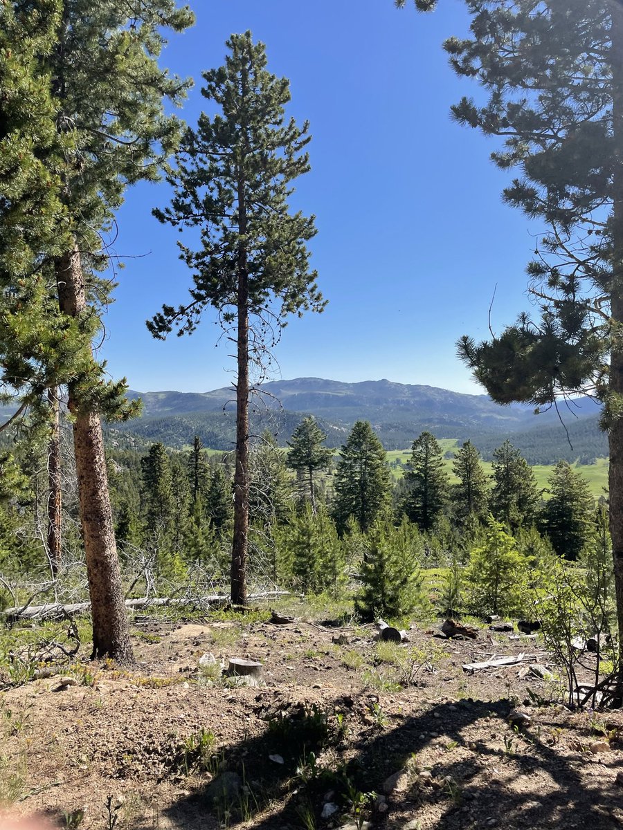 Nico_D_Is_3's tweet photo. Colorado June 2023 https://t.co/GFNQuIDGBN
