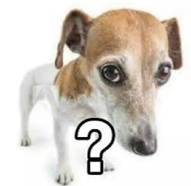 mi cuerpo viendo como un día duermo 12 horas y al otro 4