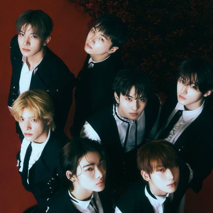 Starfess || CEK PINNED UNTUK KIRIM MENFESS tweet media