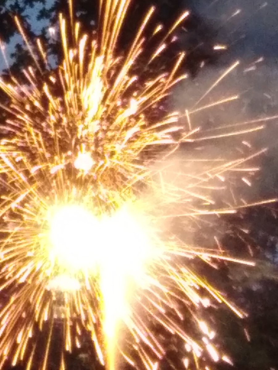 smithfororegon's tweet photo. Happy Independence Day! https://t.co/BvsAjLv98Y