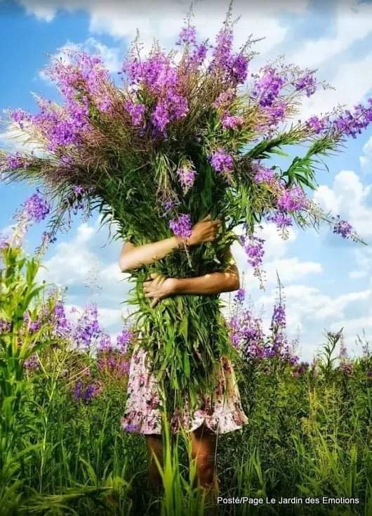 mirandamargvel3's tweet photo. 💜🌾💜🌾💜🌾"Be yourself; everyone else is already taken."
⚪🌿⚪Oscar Wilde💜🌿♻️
💜♻️💜great day to you all my friends!!♾🎵💜♻️💜
#wonderfulday
#GoodLuck
#goodvi https://t.co/4hgaU8EXa7