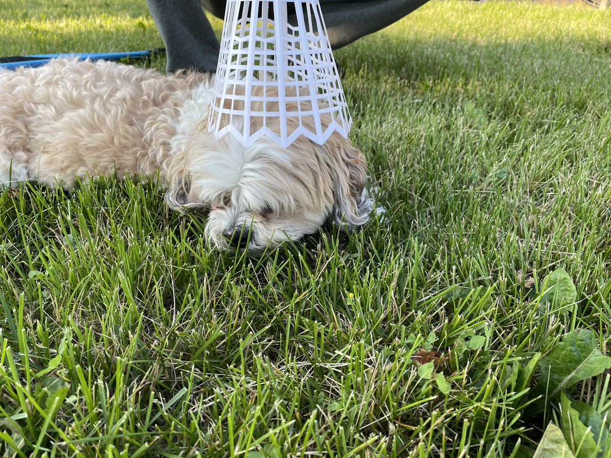 stuffspins's tweet image. Meka media woohoo