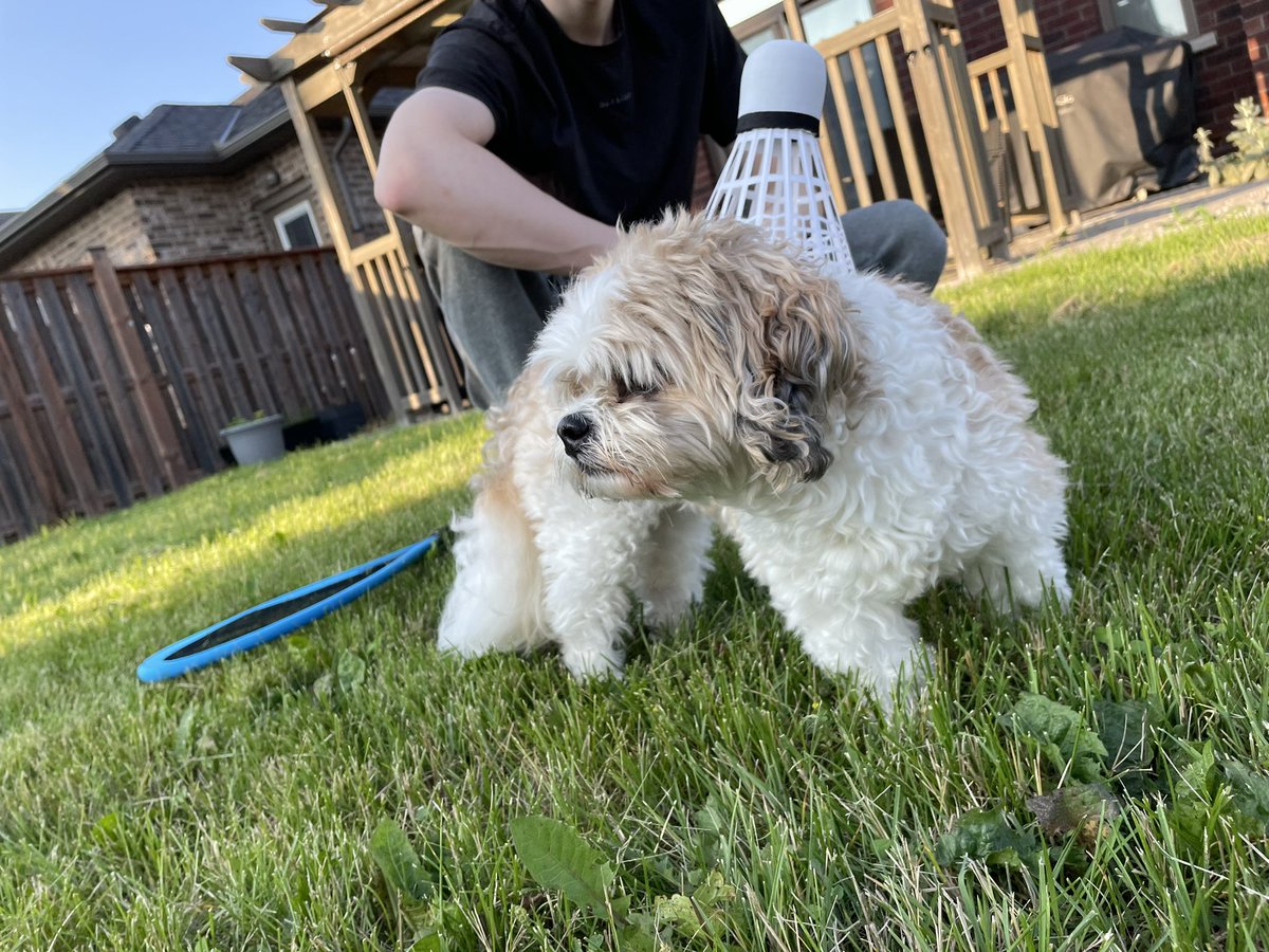 stuffspins's tweet image. Meka media woohoo