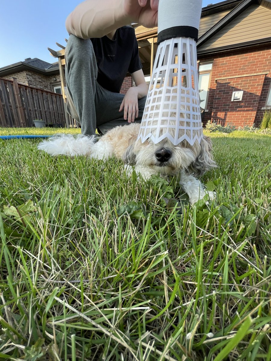 stuffspins's tweet image. Meka media woohoo