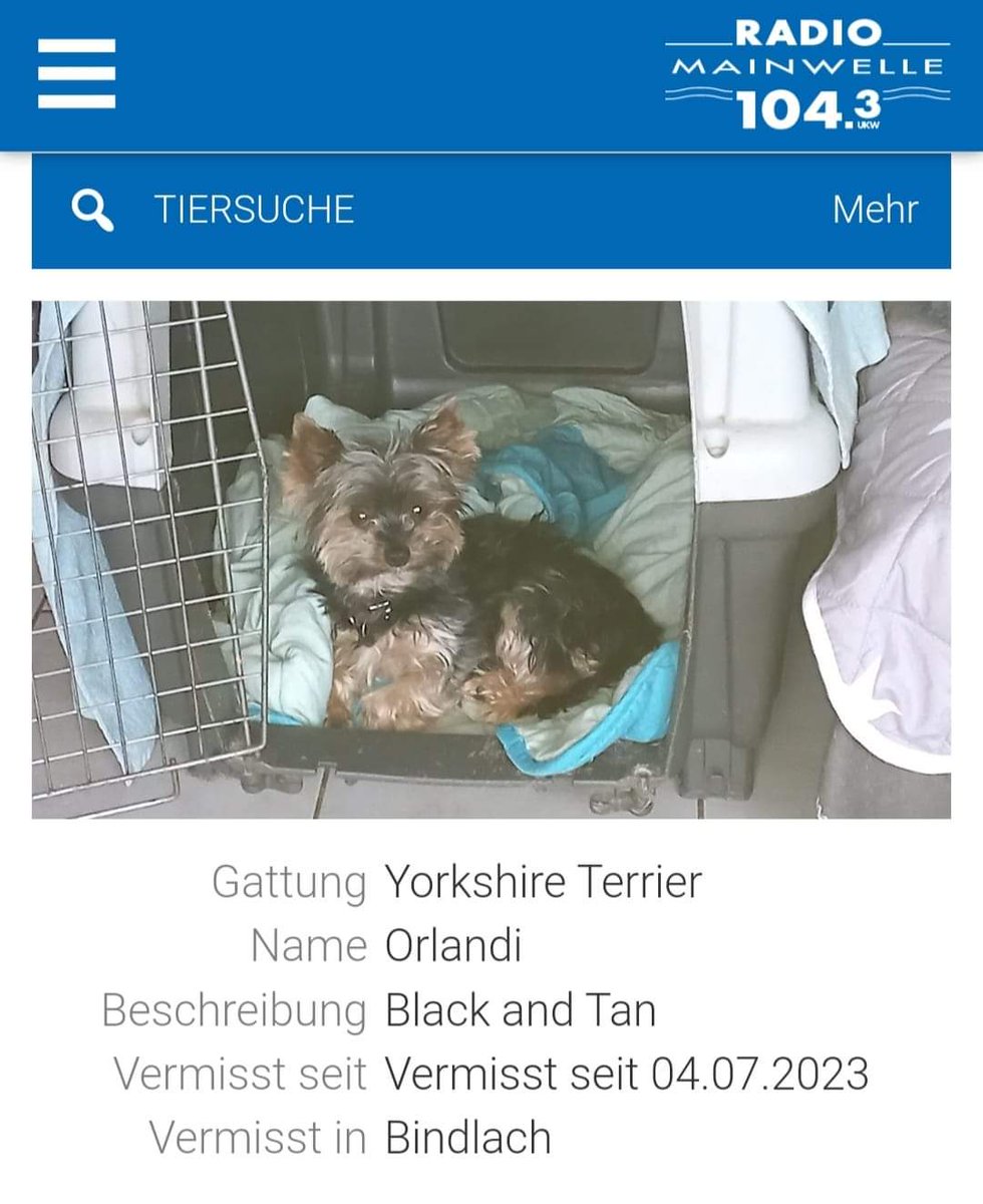 Babsi58089's tweet photo. #Bindlach #Hund #vermisst #entlaufen https://t.co/j3MPPON0f2