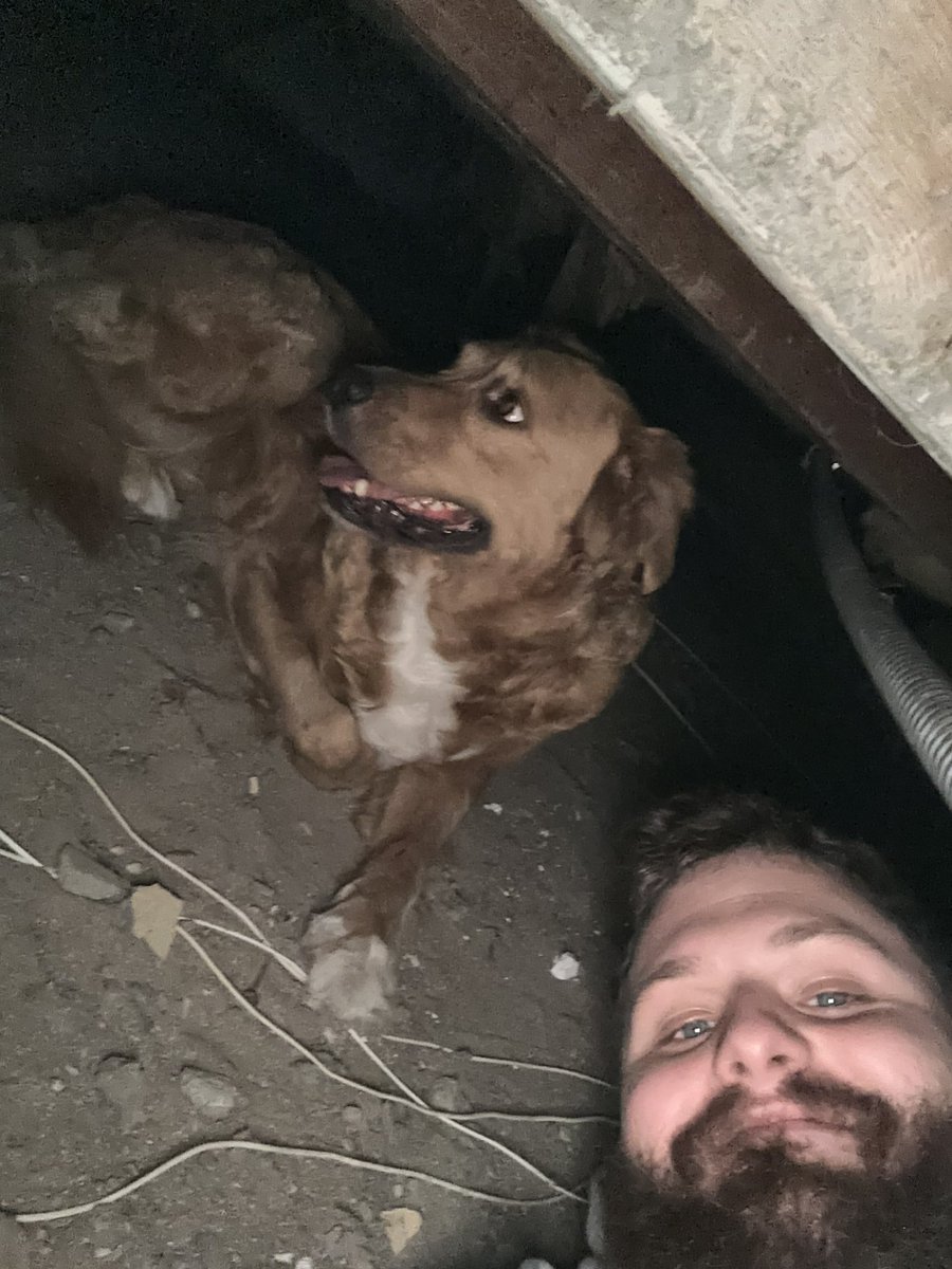 maximum's tweet photo. Spent the last hour trying to get our terrified dog out of the crawl space of our house but she ain’t budging so we’re just chillin for now. https://t.co/8ijm7yRxDE