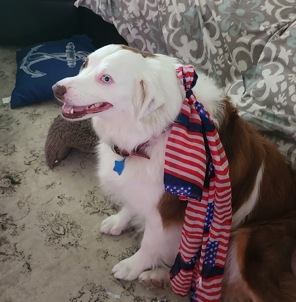 john reilly tweet media