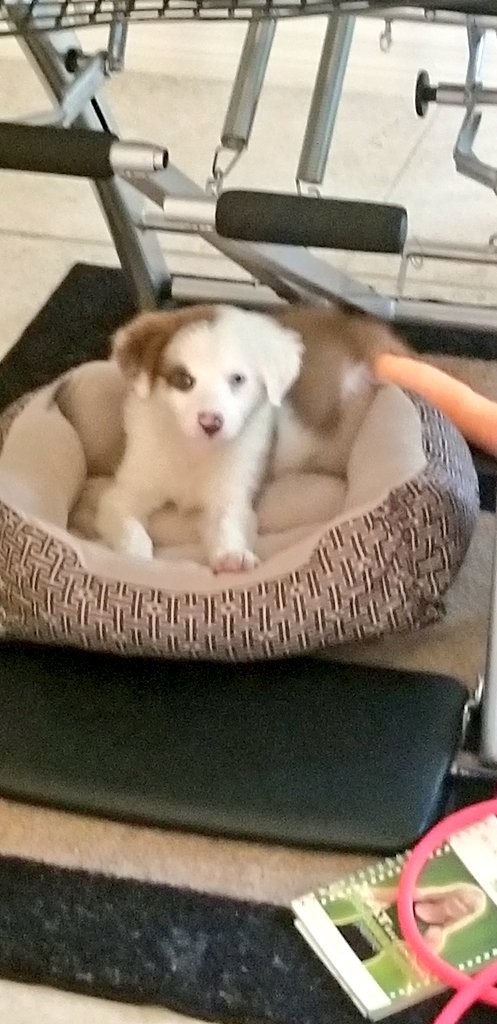 john reilly tweet media