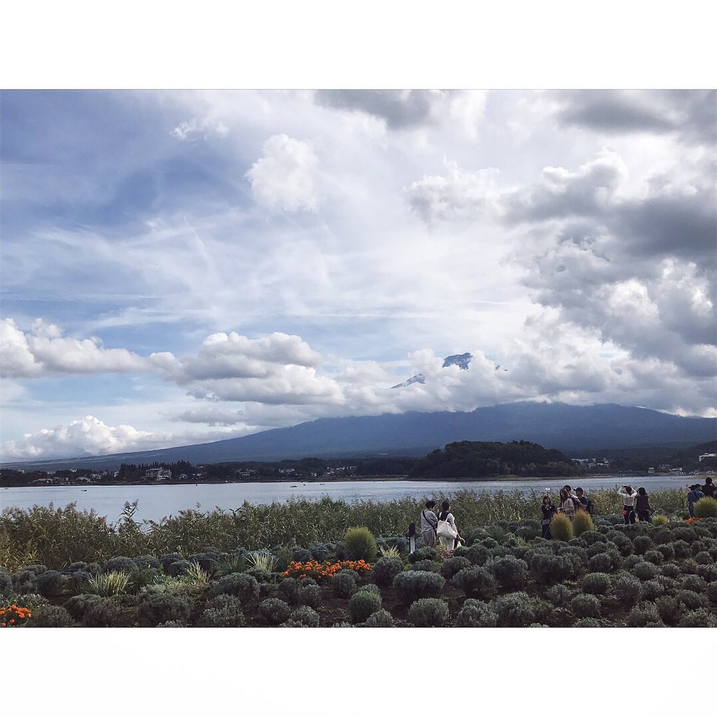 kaiwenWk's tweet photo. 阳光明媚 https://t.co/1Ommei2Cx3