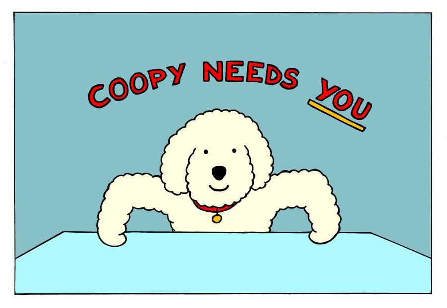 #Coopernators!

Half a MILLION DOLLARS competition is LIVE! 🤯

CHECKOUT THE SWEEP WIDGET TO MAXIMISE YOUR CHANCES OF WINNING 👇🏼💰

sweepwidget.com/c/coopyneedsyou

FOR MORE INFO HEAD TO OUR WEBSITE / TELEGRAM GROUP FOR THE FULL UPDATE! 👀

linktr.ee/coopylabs

#Coopy #Presale