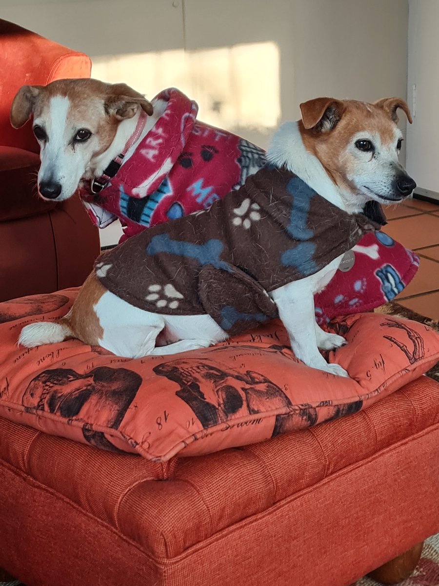 Kate Turkington tweet media