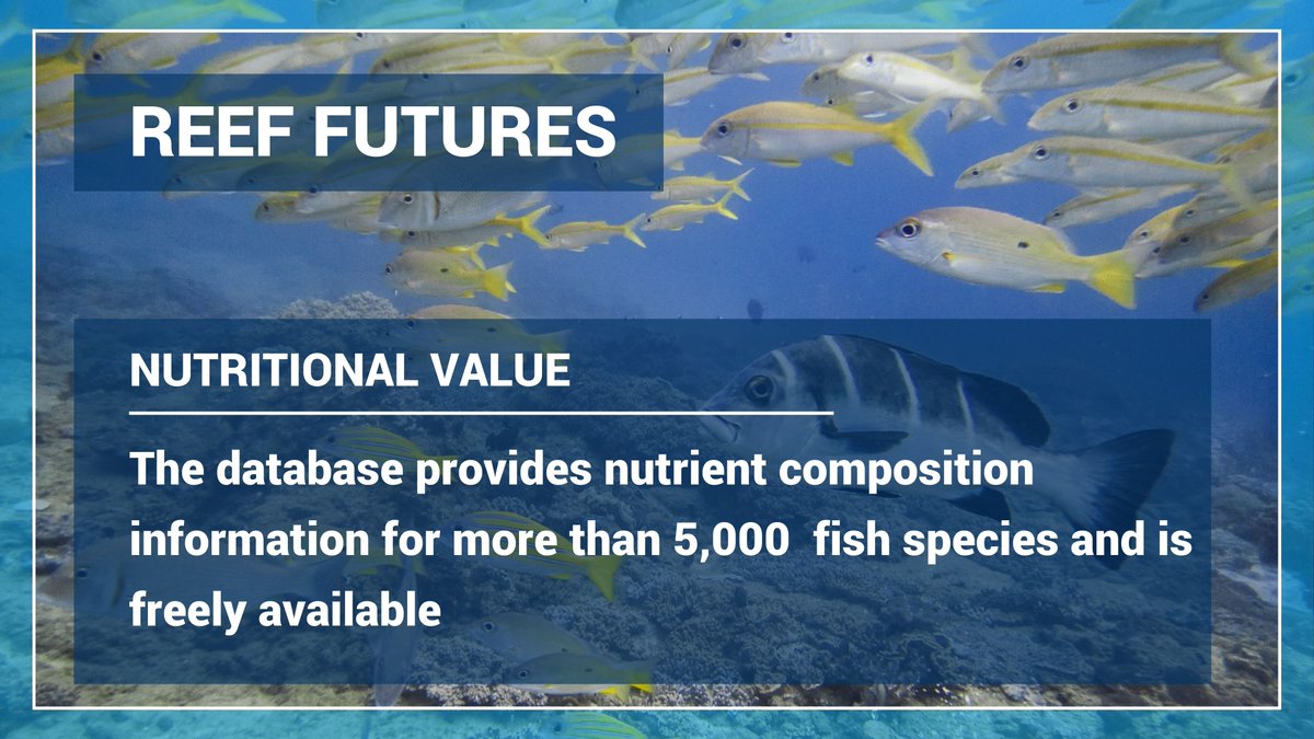 unepwcmc's tweet photo. A team of researchers led by Reef Futures member @ChristinacHicks @LancsUniLEC developed #FishNutrients, which provides nutrient composition information for more than 5,000 fresh marine fish species and is freely and globally available.
Learn more➡️ https://t.co/bLr2LJ1bAO https://t.co/6EpZyQCMpI