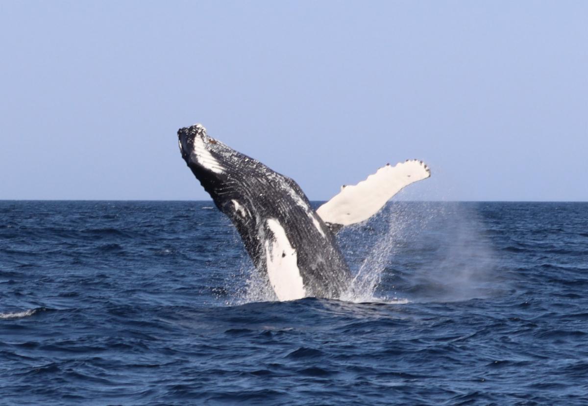 "The voice of the sea speaks to the soul." ~ Kate Chopin. A My Daily Minute about feeling God through the storms of life. conta.cc/3PL5SxA
conta.cc/46ztICm