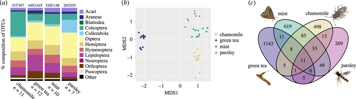 The bug in a teacup – Monitoring arthropod-plant associations with environmental DNA from dried plant material ow.ly/pl9W50JynSl #eDNA #arthropods #ecosystem #BiologyLetters #SEBconference