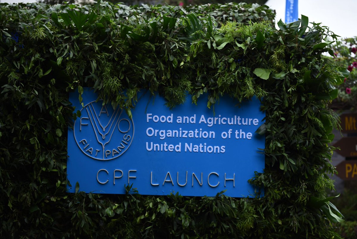 FAOKenya tweet picture