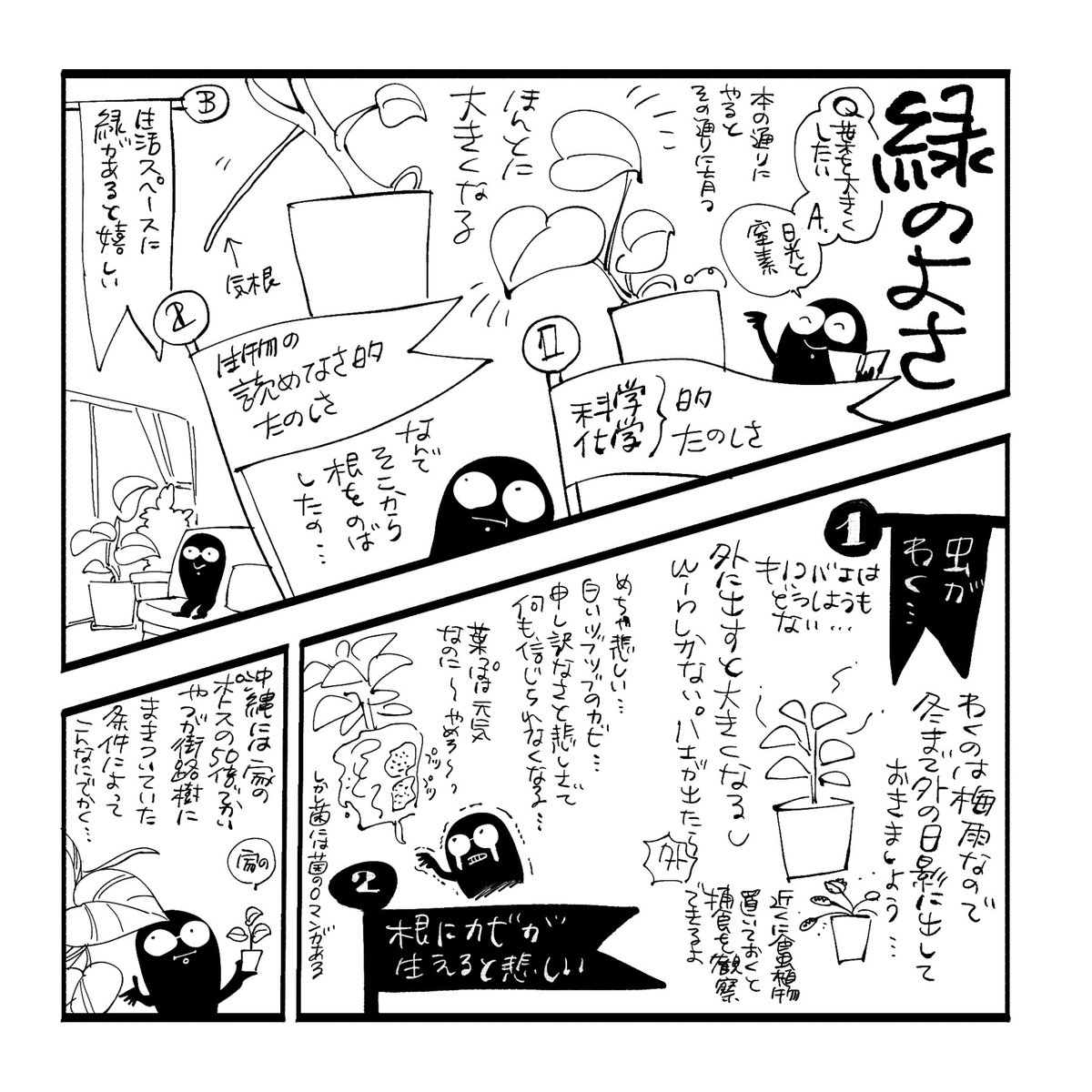 観葉植物の良さをプレゼンしました https://t.co/hiIIjkK3Lg