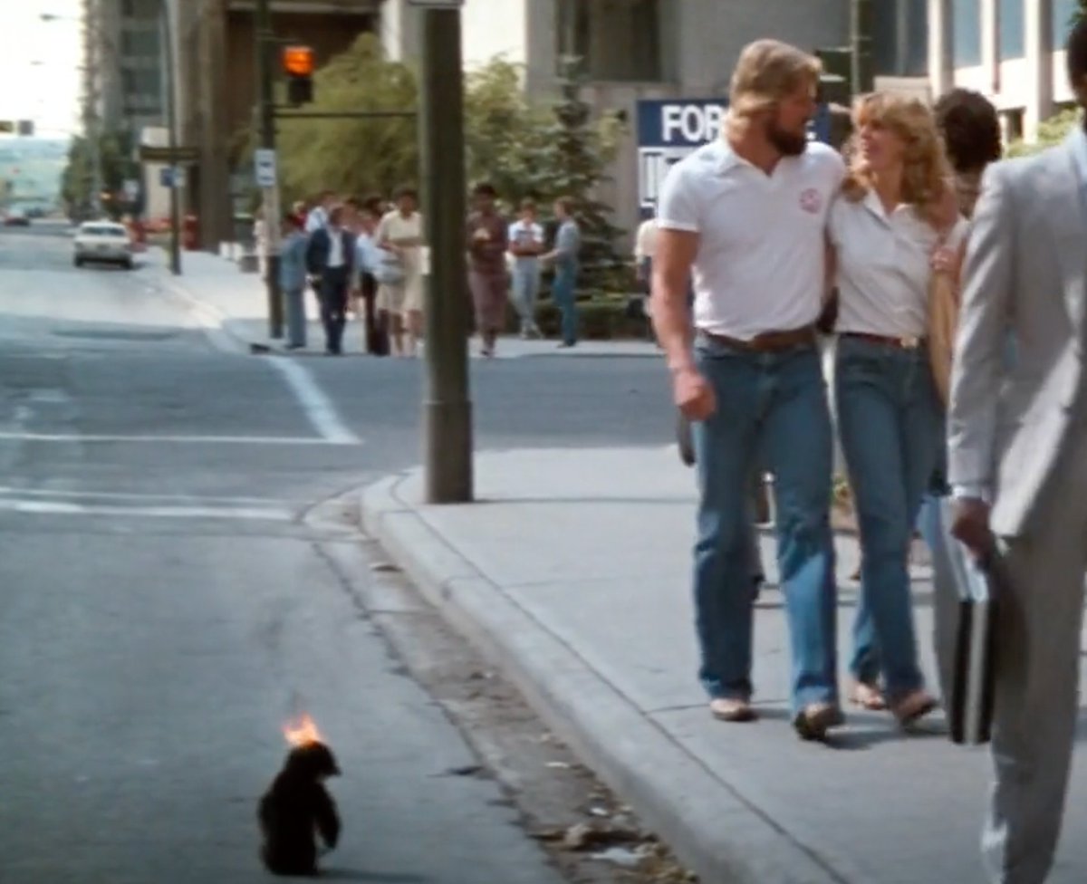 emotionally, I am this small penguin on fire from Superman II
