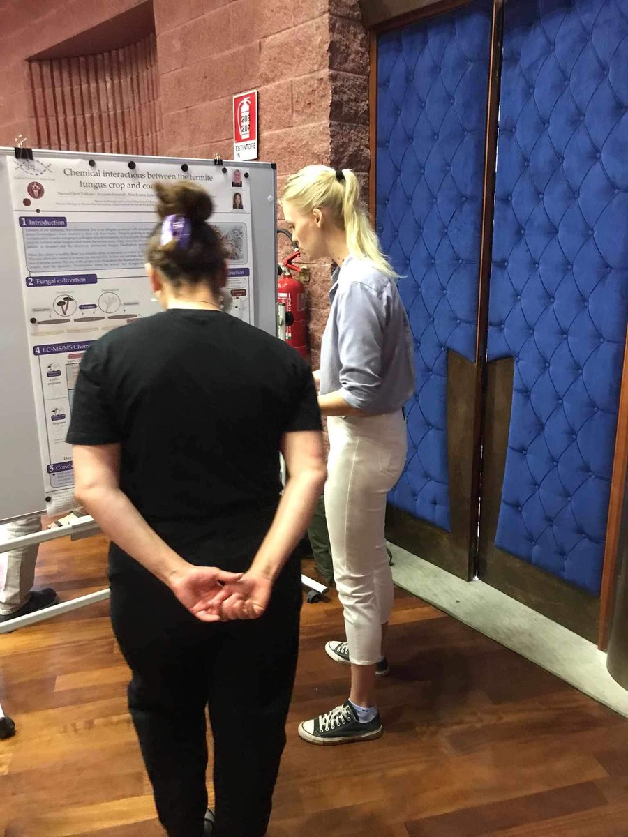 Inspiring GRC Animal-Microbe Symbioses conference in Italy, where the group was represented with a talk by Nanna on metabolites from Termitomyces and Pseudoxylaria, and posters from Suz, Rob, and Michael, as well as former group members Ana and Kasun. #ERC_Research #H2020 #GRC