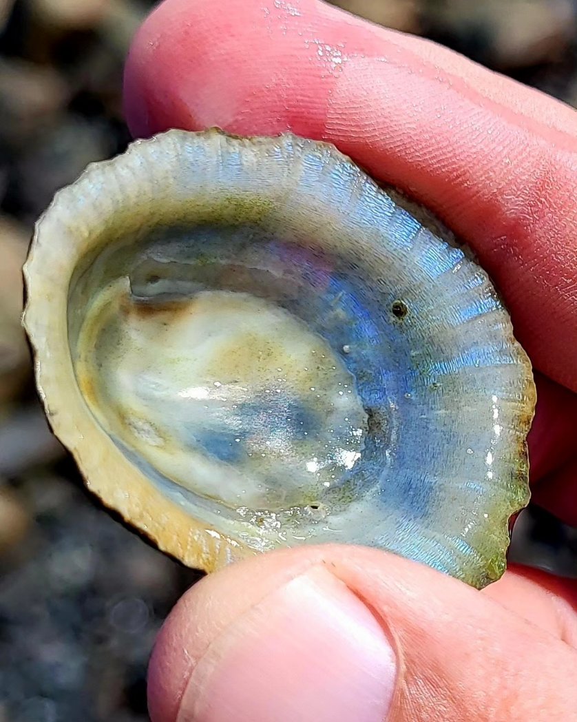 Cormac's Coast tweet media