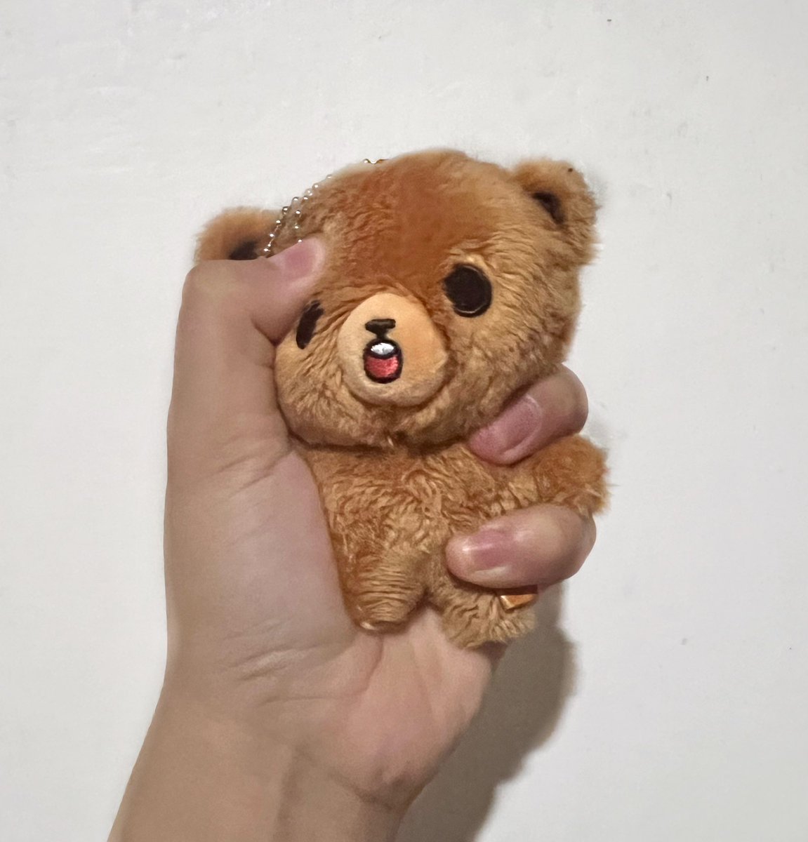prodldh's tweet photo. my gomdo is finally home ☺️ https://t.co/hb6BCx37le