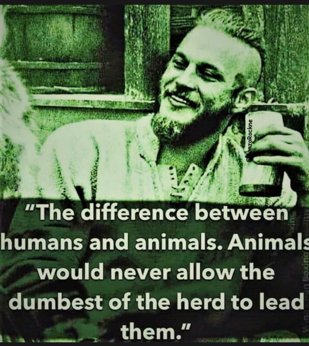 MrsDDC's tweet image. 