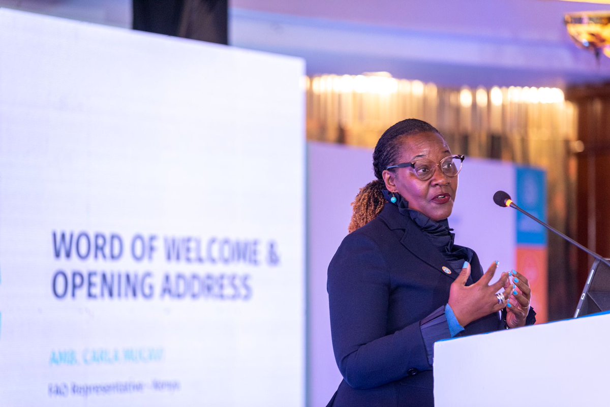 _Yanoh's tweet photo. Meet Carla Mucavi, the FAO representative in Kenya. With her leadership and expertise, she is driving forward the #FAOCPF2023 agenda, working towards resilient and sustainable food systems in Kenya. #FAOStrategyLaunch https://t.co/BIoxCNLAyH