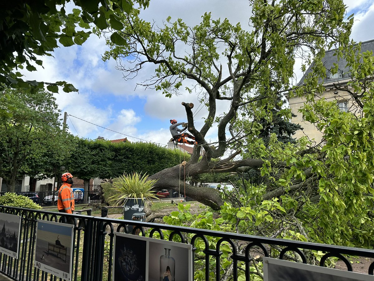 Ville d'Aulnay-sous-Bois tweet media