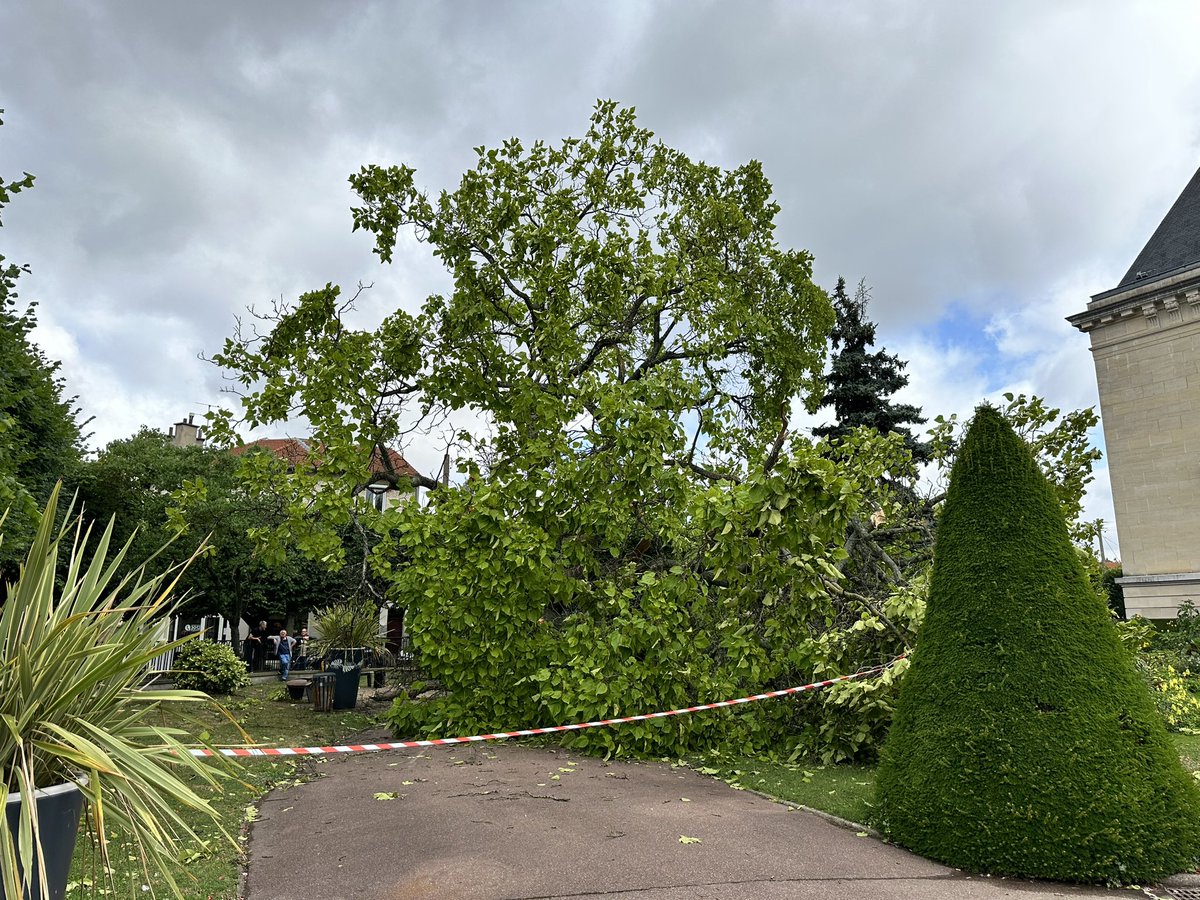 Ville d'Aulnay-sous-Bois tweet media