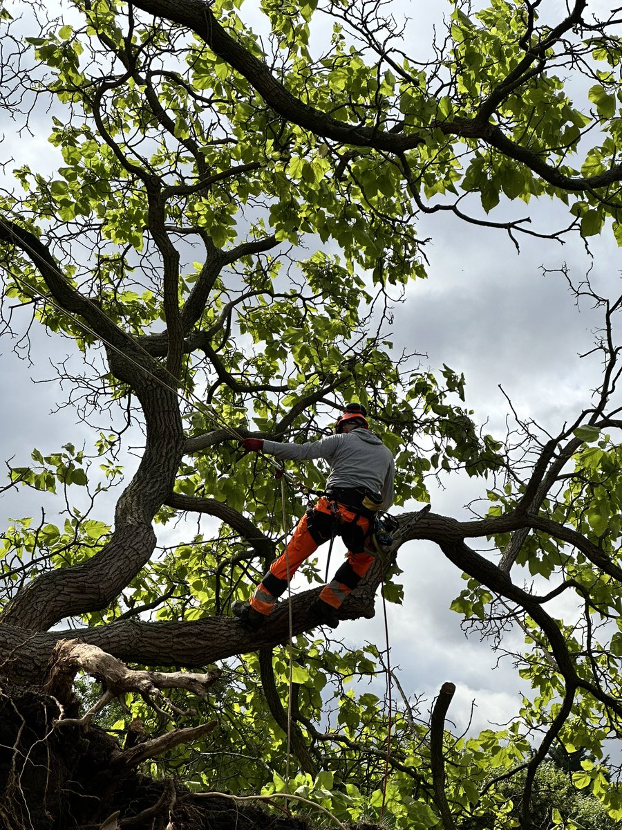 Ville d'Aulnay-sous-Bois tweet media