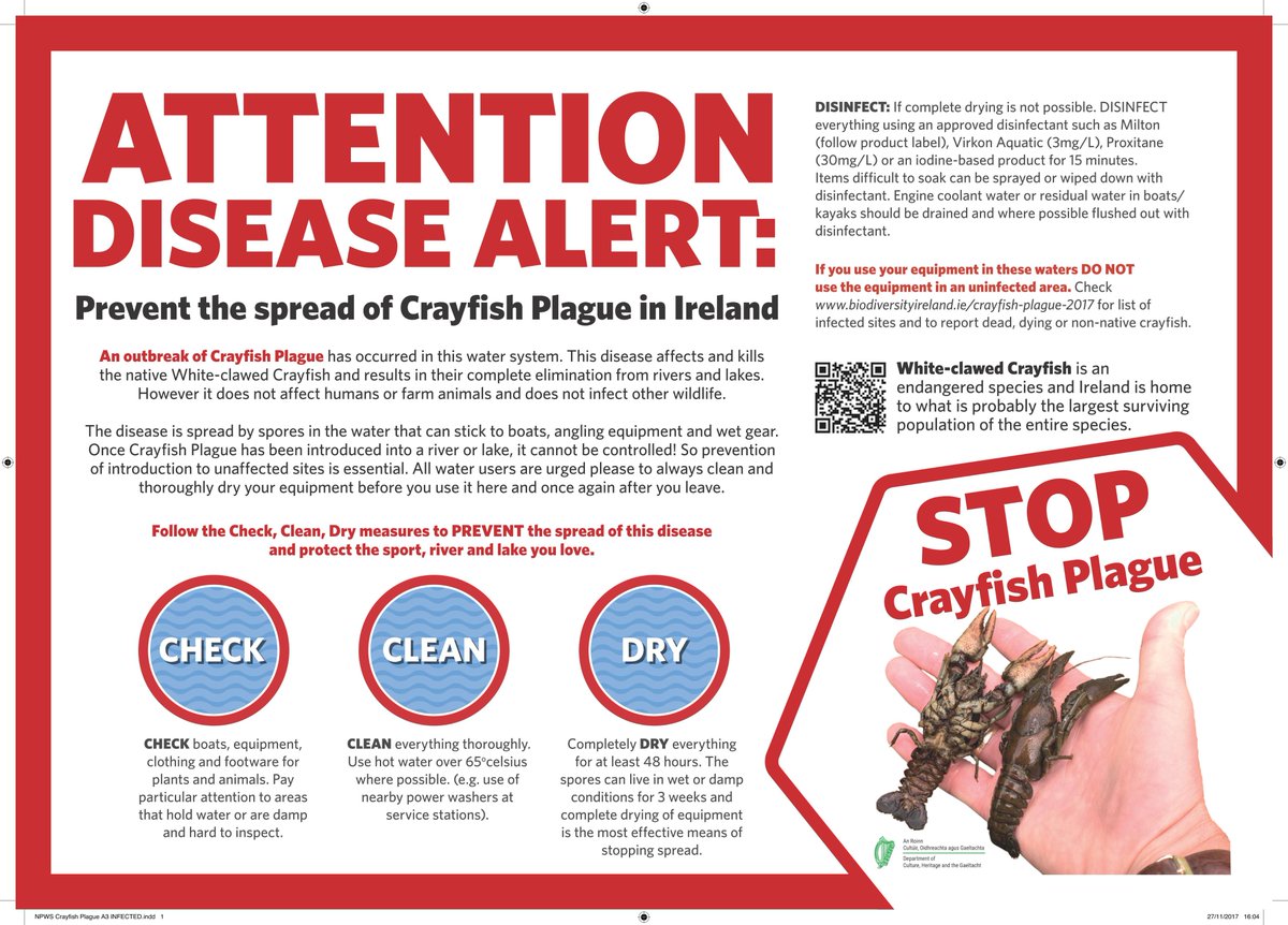 Press Release📢Water users urged to take precautions due to outbreak of Crayfish Plague in the Munster Blackwater catchment bit.ly/3pzxRWu

NPWS and IFI urge all users of any river to implement the Check, Clean & Dry protocol #CheckCleanDryIrl 
1/2