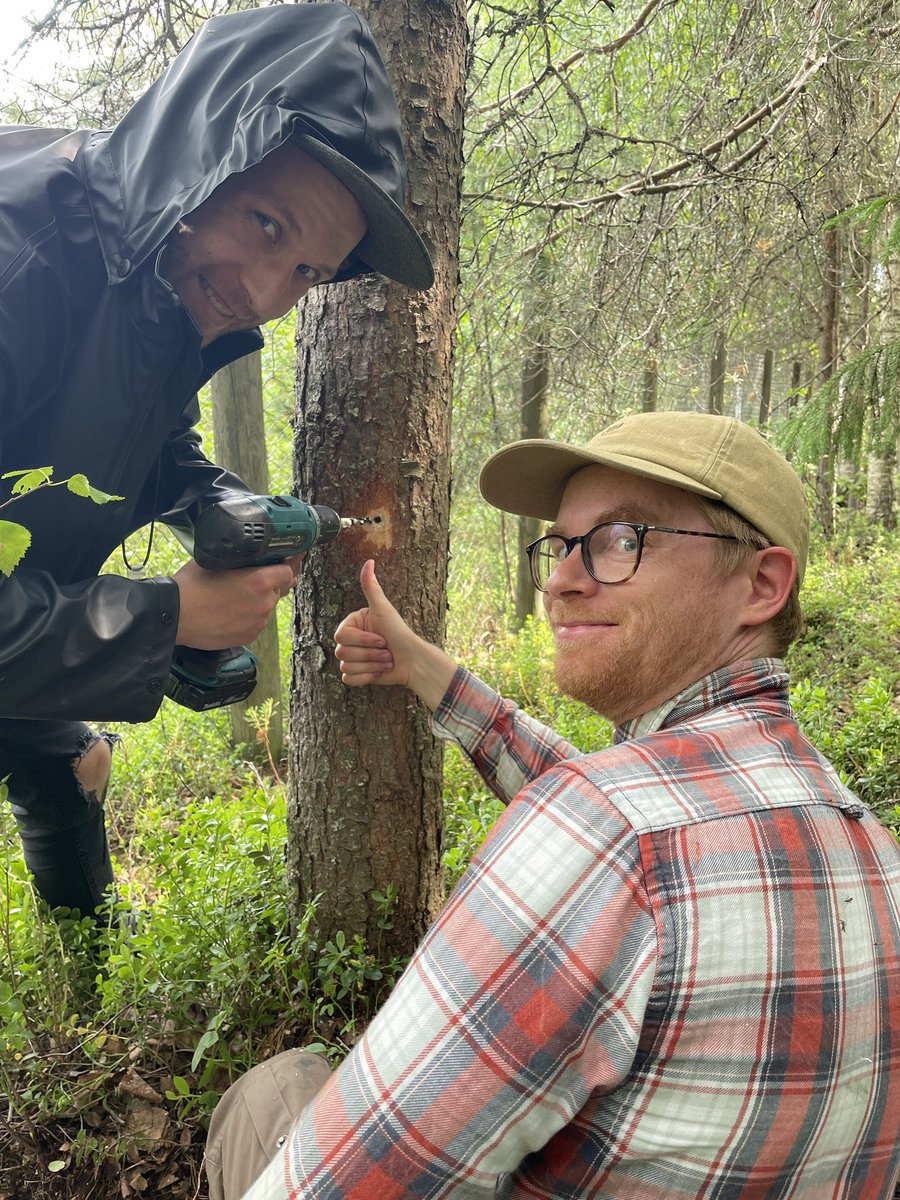 ZSN_Chen's tweet photo. Week 1 of the summer work for in-situ continuous water #isotopes in trees and soils. AKA, the pre-test for the pre-measurement for #BFF_Water and #BoTWU😆 Also the first experience of ‘working’ with Finnish mosquitoes😨 All very very interesting 😆😅😁 https://t.co/3FS1E3CCuY