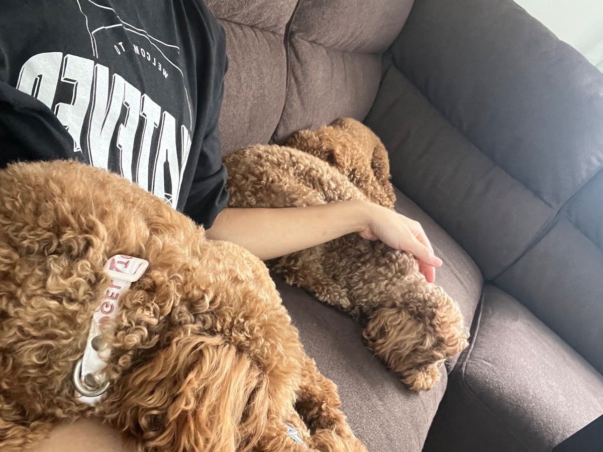 Polaris_Rin's tweet image. ああ〜雨季が来たよ☔️☔️☔️
ももちゃんたちに会いたい🐶🐶🐶🐶

#POLARIS2023 #ベトナムアイドル  #ポラリス #rinnie_polaris #不忘初心