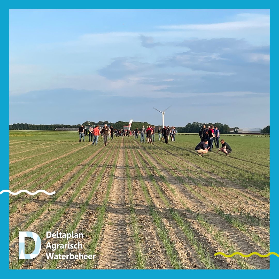 🧅💦| Druppelirrigatie in zaaiuien, hoe werkt dat in de praktijk? Wat zijn de mogelijkheden van fertigatie en hoe gaat mechanische onkruidbestrijding in combinatie met druppelirrigatie in zijn werk? We tonen het tijdens de velddemo op 11 juli in Kimswerd👇
agrarischwaterbeheer.nl/nieuws/veldbez…