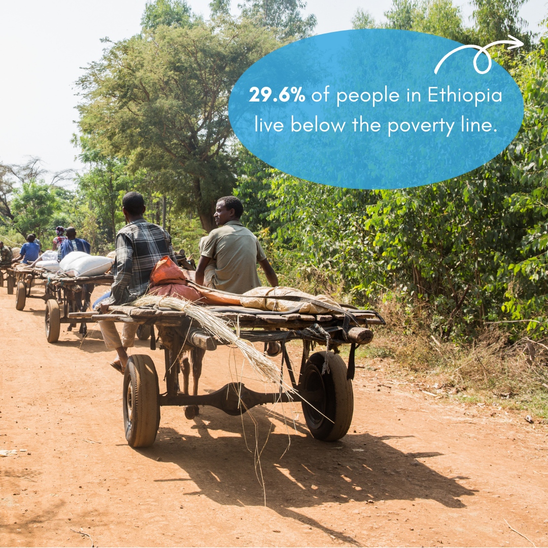 Project Waterfall tweet media