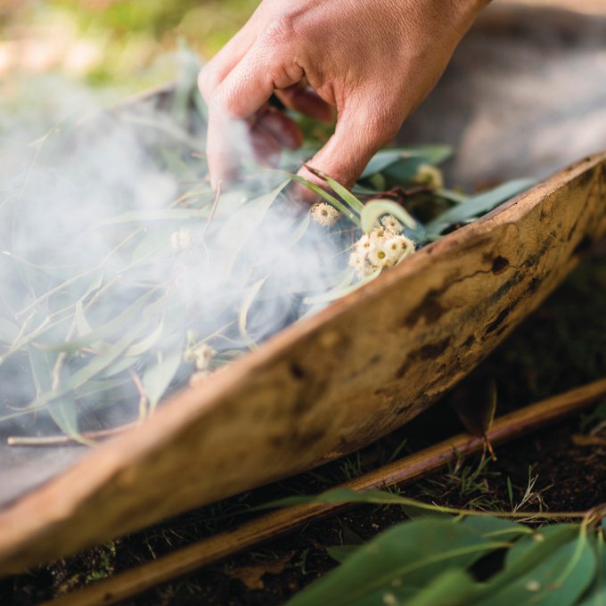 Bush Tucker in the ❤️ of Narrm? It's a thing at @RBG_Victoria!  Join a local Indigenous guide on an Aboriginal<a href="/tag/seeaustralia"class="tags"><span>#seeaustralia</span></a><a href="/tag/comeandsaygday"class="tags"><span>#comeandsaygday</span></a>