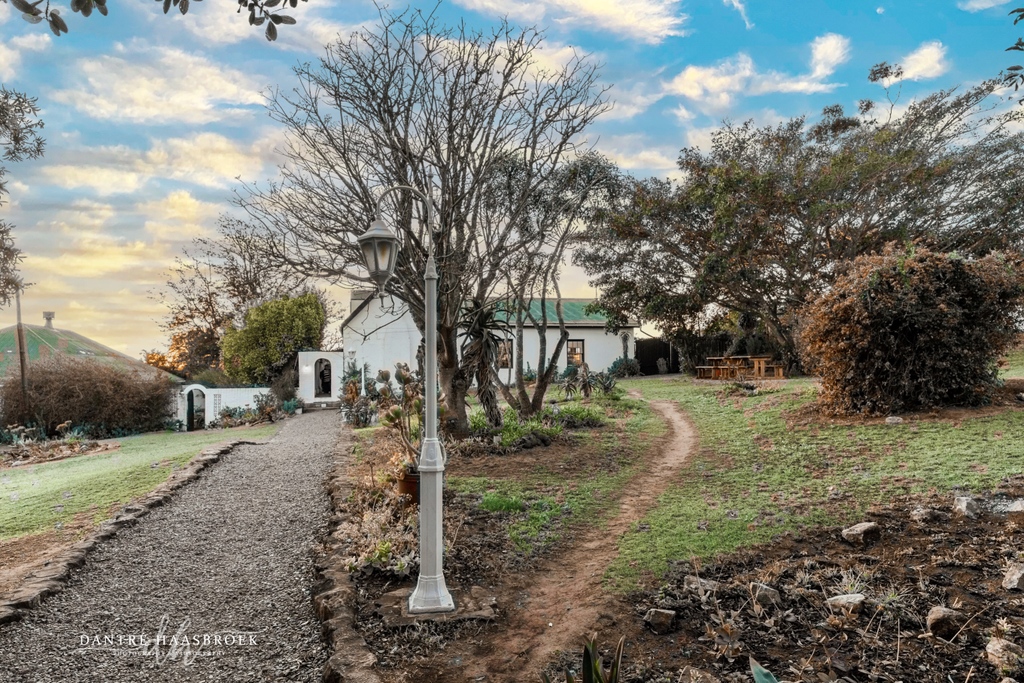 Amakhala Reserve tweet media