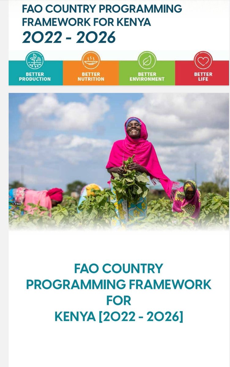 _Yanoh's tweet photo. #FAOCPF2023 unlocks the potential of Kenya's agriculture sector. CPF 2022-2026 focuses on sustainable production, inclusive value chains, climate action and biodiversity conservation. #FAOStrategyLaunch https://t.co/bSlYTLCpIn