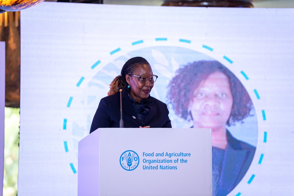_Yanoh's tweet photo. #FAOCPF2023 unlocks the potential of Kenya's agriculture sector. CPF 2022-2026 focuses on sustainable production, inclusive value chains, climate action and biodiversity conservation. #FAOStrategyLaunch https://t.co/bSlYTLCpIn