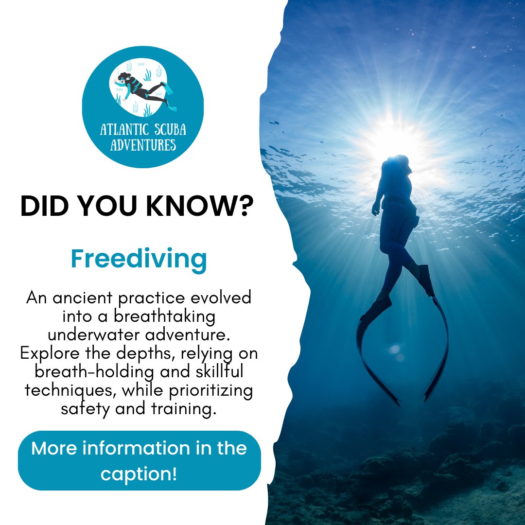 Freediving relies on breath-holding. Learn proper training, equalization, and safety. Optimize oxygen, balance pressure, and conserve energy underwater. Ascend slowly, prioritize safety, and embrace the incredible world of freediving! 🌊🤿💨 #Freediving #UnderwaterAdventure