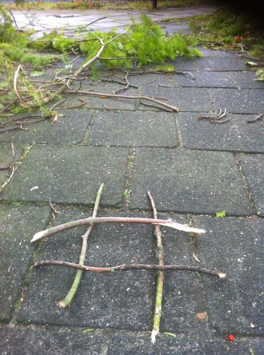 Hashtak! 😂 #coderood #storm