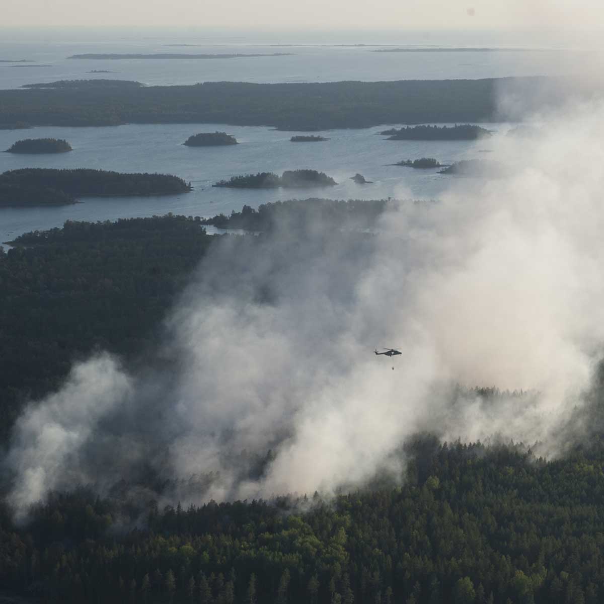 SPPL_ry's tweet photo. Suomessa on syttynyt metsäpaloja tänä vuonna puolet enemmän kuin kahtena edellisvuonna. Suurin #metsäpalo'jen aiheuttaja on ihminen, jonka TOP3 1H/2023: 
🔥 Nuotiot: 158 metsäpaloa
🍂 Risujen ja roskien poltto: 79
🚬 Savukkeet: 68
#pelastustoimi
Lue lisää https://t.co/TrNdTQO4nx https://t.co/lV0m3PPGM3