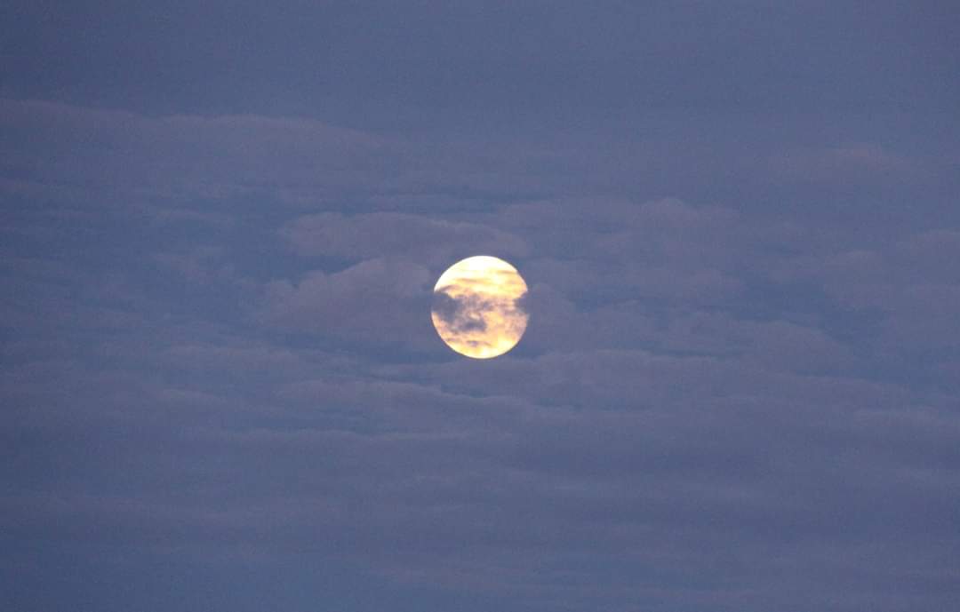 GrigarKevin's tweet photo. The moon east of Greenland https://t.co/KSeOVkZznm