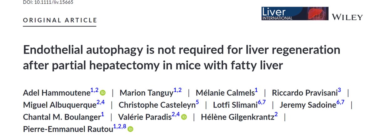1⃣ Liver endothelium is key in regeneration 
2⃣ Autophagy regulates endothelial homeostasis
3⃣ Autophagy is defective in  NASH
➡️ Role endothelial autophagy in liver regeneration in NAFLD❓ 🤨

✅strong🆙of endothelial autophagy
❌no impact on regeneration
doi.org/10.1111/liv.15…